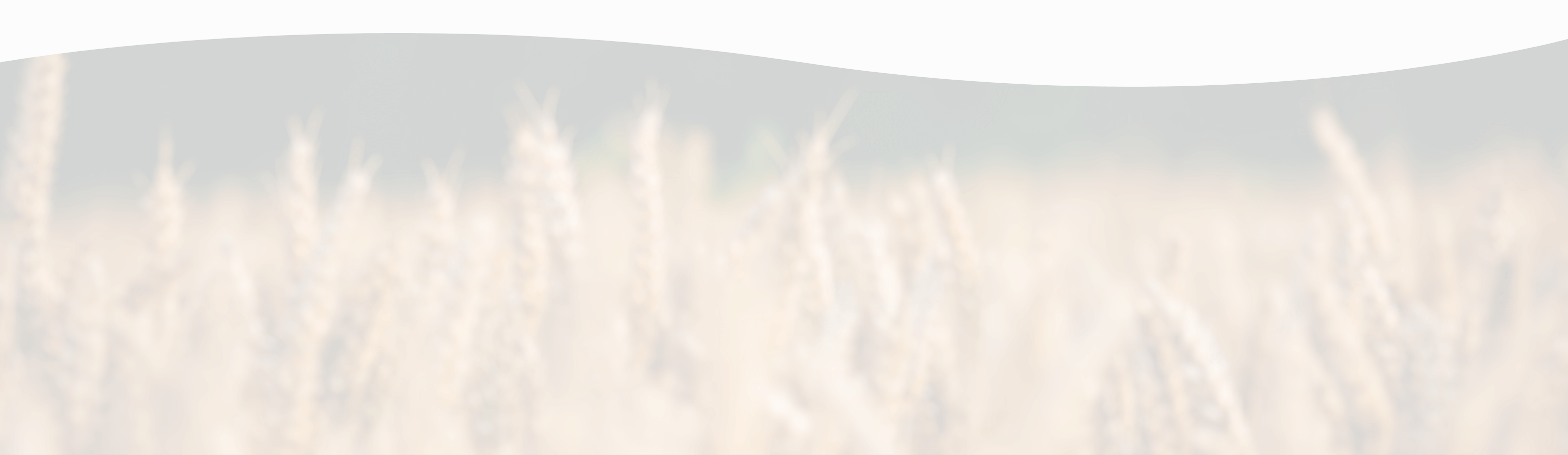Copy - infolettre Copy - infolettre